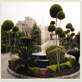 General view
 di The Uppal Hotel-An Ecotel Hotel