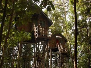 General view
 di Permai Rainforest Resort, Kuching