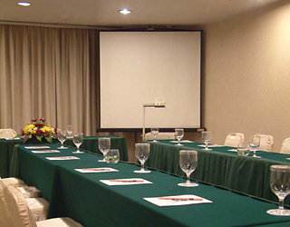 Conferences
 di Quality Skyline Hotel Luton