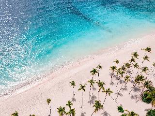 Hyatt Vivid Punta Cana Adults Only