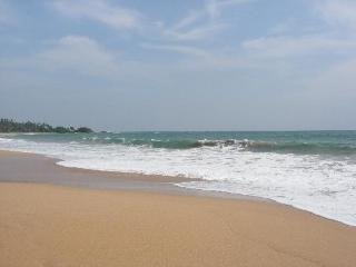 Beach
 di Induruwa Beach Resort