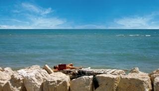 General view
 di Ca' del Moro