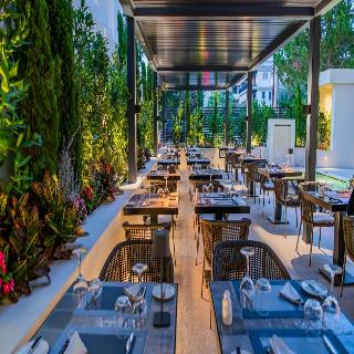 Divani Escape - Adults Only -