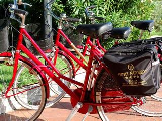 Napoleon, Lucca