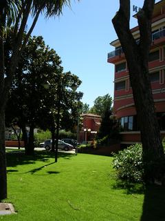 Napoleon, Lucca