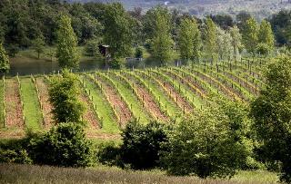 I Grandi Di Toscana, Arezzo