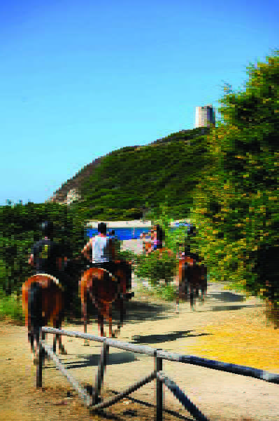 Sports and Entertainment
 di Parco Torre Chia