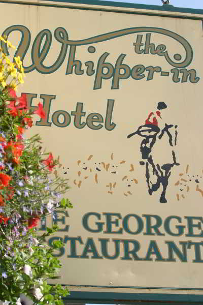 Terrace
 di Brook Whipper-In