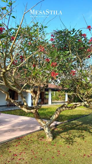 MesaStila Resort and Spa Magelang