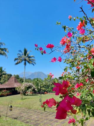 MesaStila Resort and Spa Magelang
