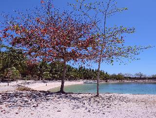 Beach
 di Cordova Reef Village Resort