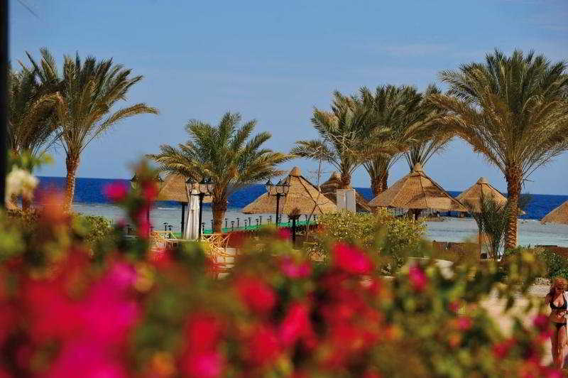 General view
 di Cataract Marsa Alam   