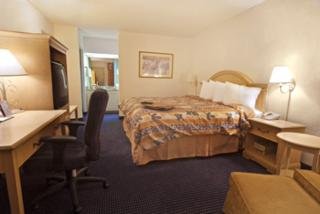 Room
 di Best Western St Pete/Clearwater Int'l Airport