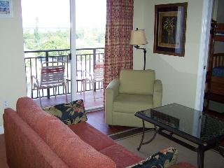 Room Room