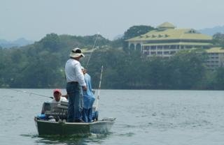 General view
 di Gamboa Rainforest Resort