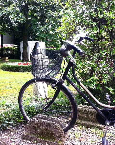 General view
 di Villa Patriarca