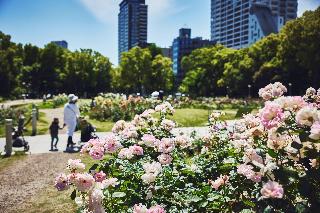 Voco Osaka Central