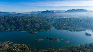 Camellia Hills