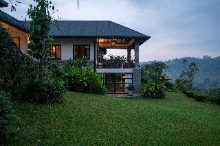 Camellia Hills
