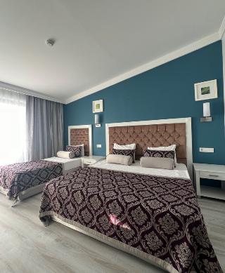 Room Room