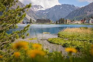 Aves Arosa