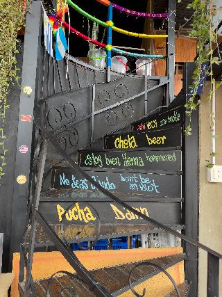 Lobo Hostel La Paz
