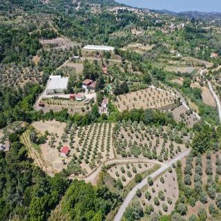 Agrology Lux