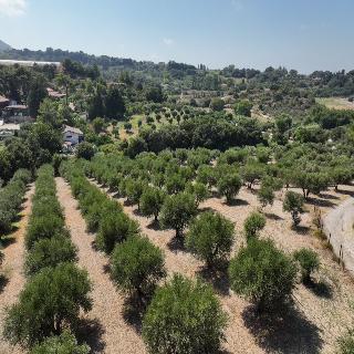 Agrology Lux