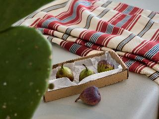 Mykonos Lolita, A Resort to Live