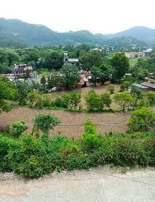 Herb Club Homestay