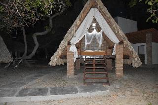 Room Room