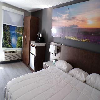 Room Room