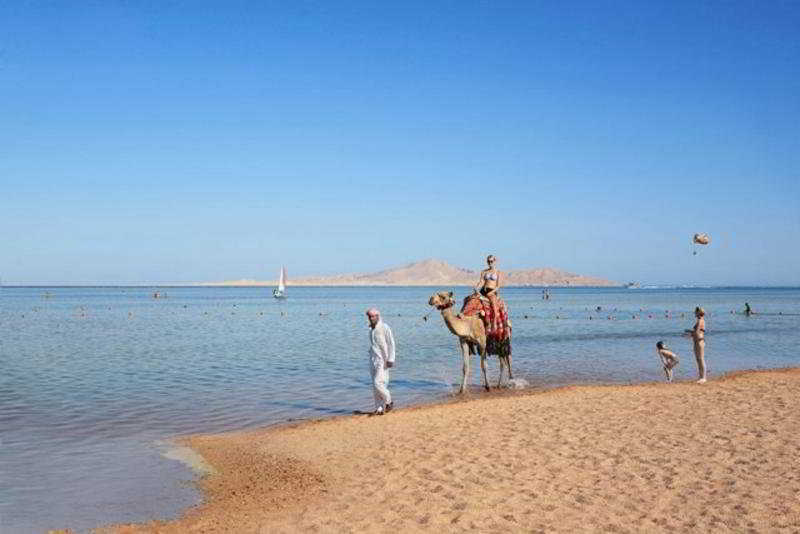 Sports and Entertainment
 di Solymar Shams Suites Resort