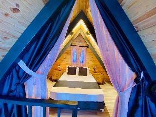 Room Room