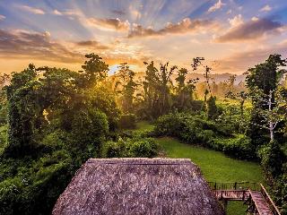 Jade Jungle Resort
