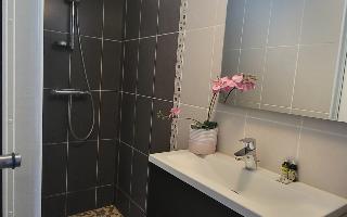 Room Room