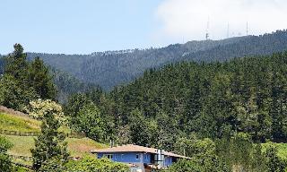 Hotel Txoriene