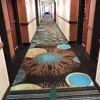 Hampton Inn & Suites By Hilton Amarillo West
