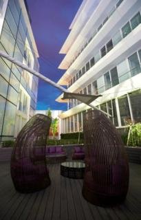 General view
 di The Vine