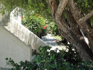 Nancy Chara Apartments