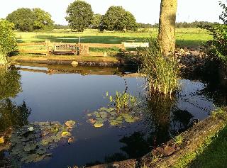 Worpsweder Blick