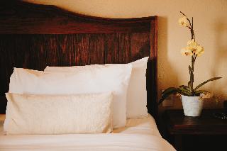 Room Room