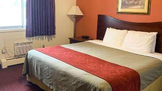 Room Room