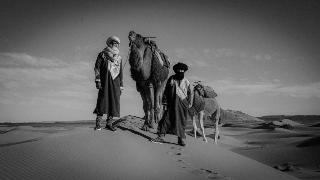 Nomad Camp