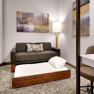 Springhill Suites Phoenix Scottsdale Marriott