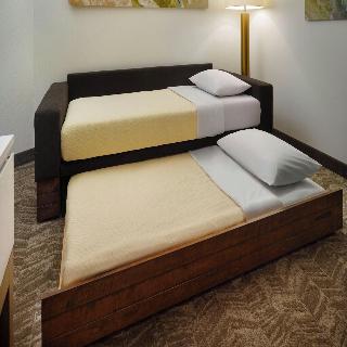 Springhill Suites By Marriott Ellijay