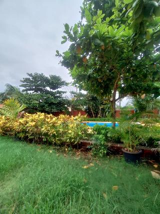 Opulence Resort Awas Alibaug