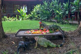 Foto del Hotel Hotel Mar de Luz del viaje costa rica limites