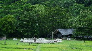 Ella Jungle Resort