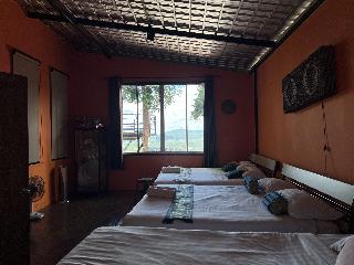 Room Room